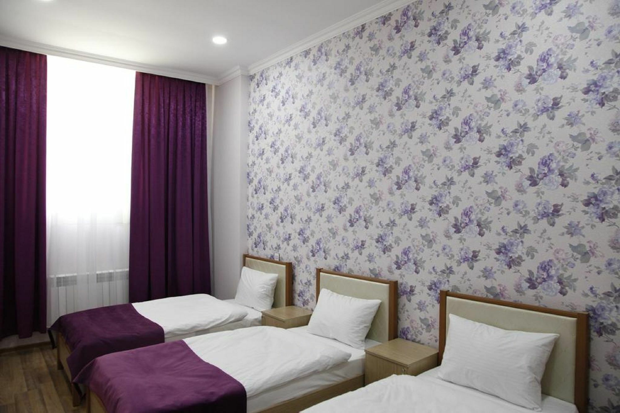 Nord West Hotel Baku Eksteriør billede